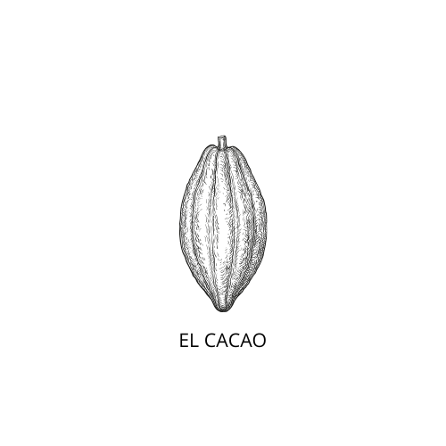 BEBIDAS DE CACAO