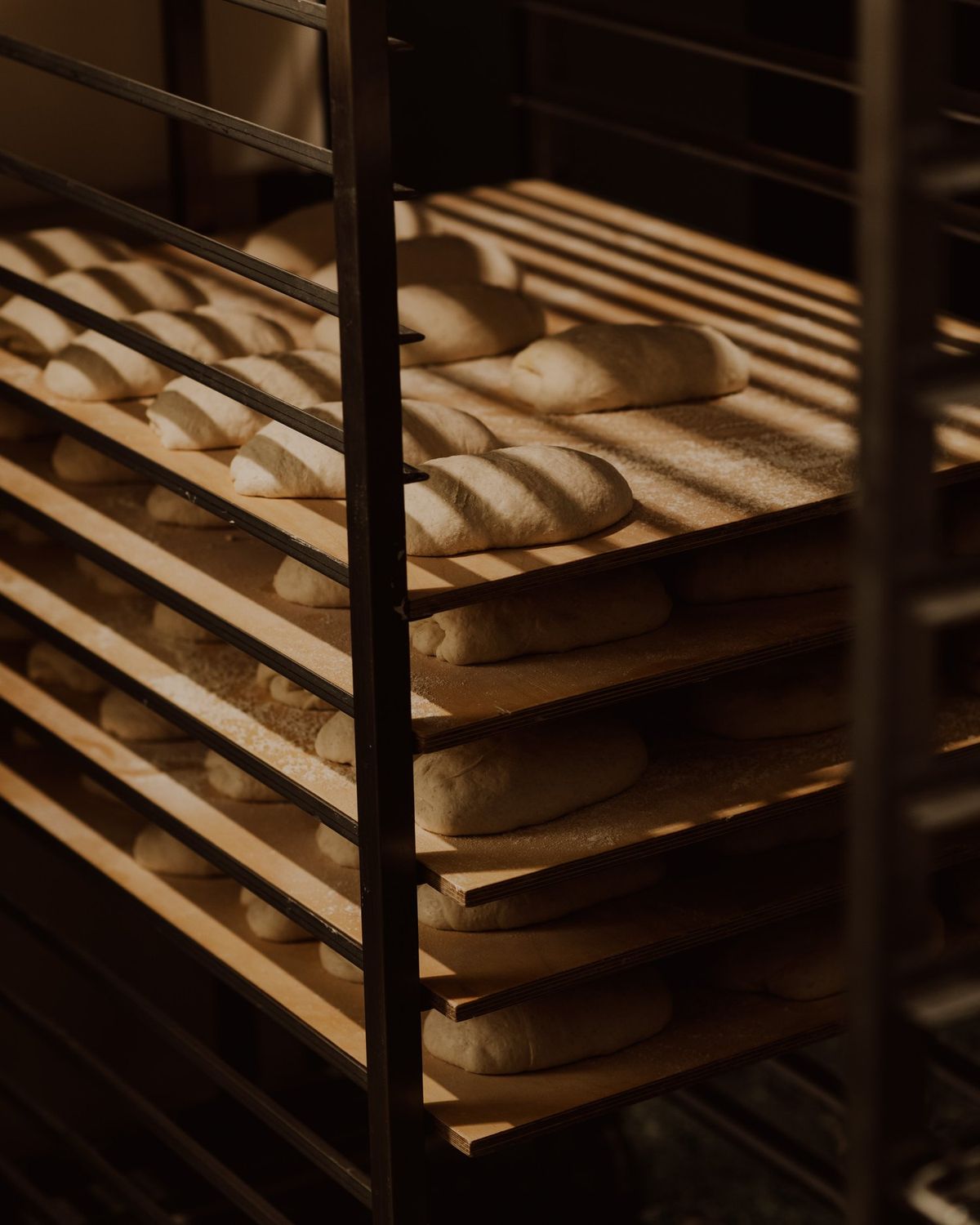 Nos especializamos en